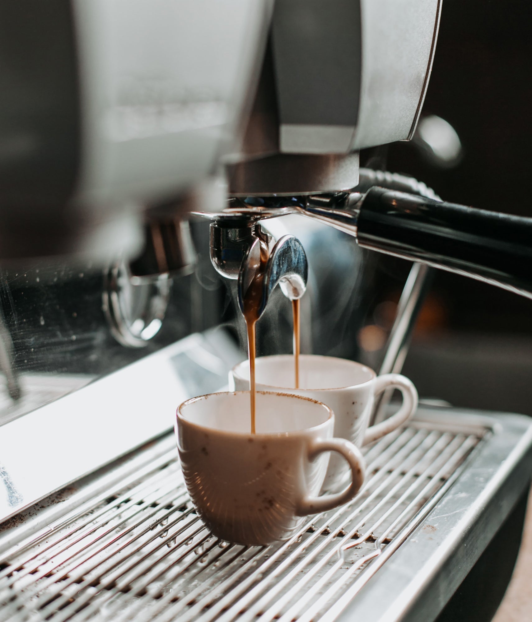 Mushroom Coffee - The Popular New Alternative to Traditional Coffee