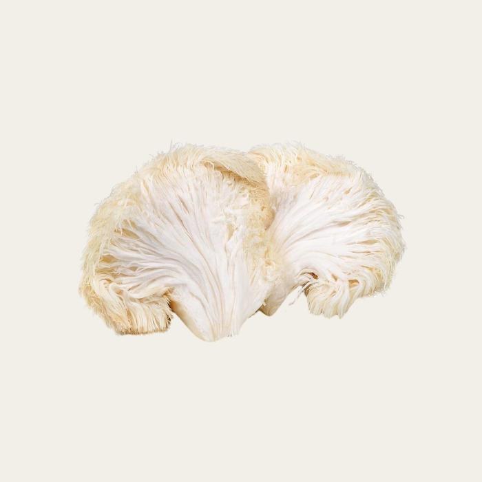 2_cbb94dba-9b3d-4a43-b01e-c4032d177bd6.png