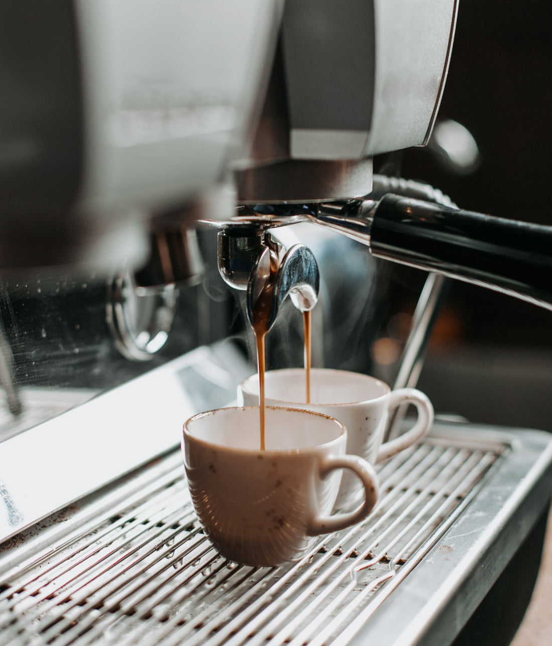 Mushroom Coffee - The Popular New Alternative to Traditional Coffee