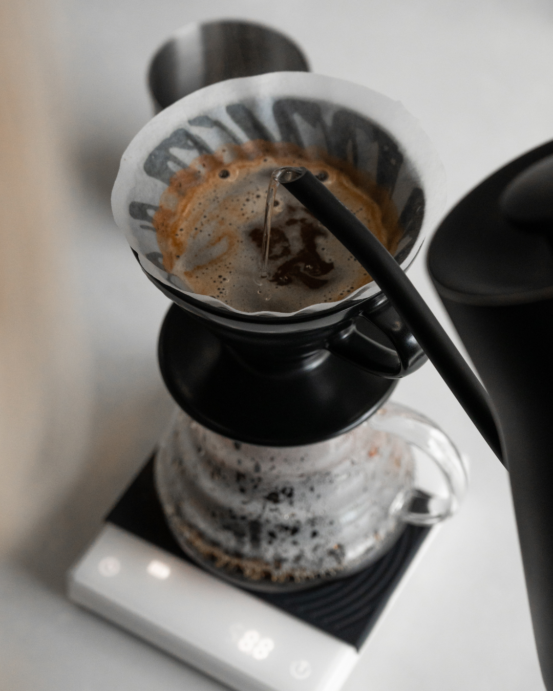Mastering the Brew: A Guide to Brewing the Perfect Kalba Mushroom Coffee