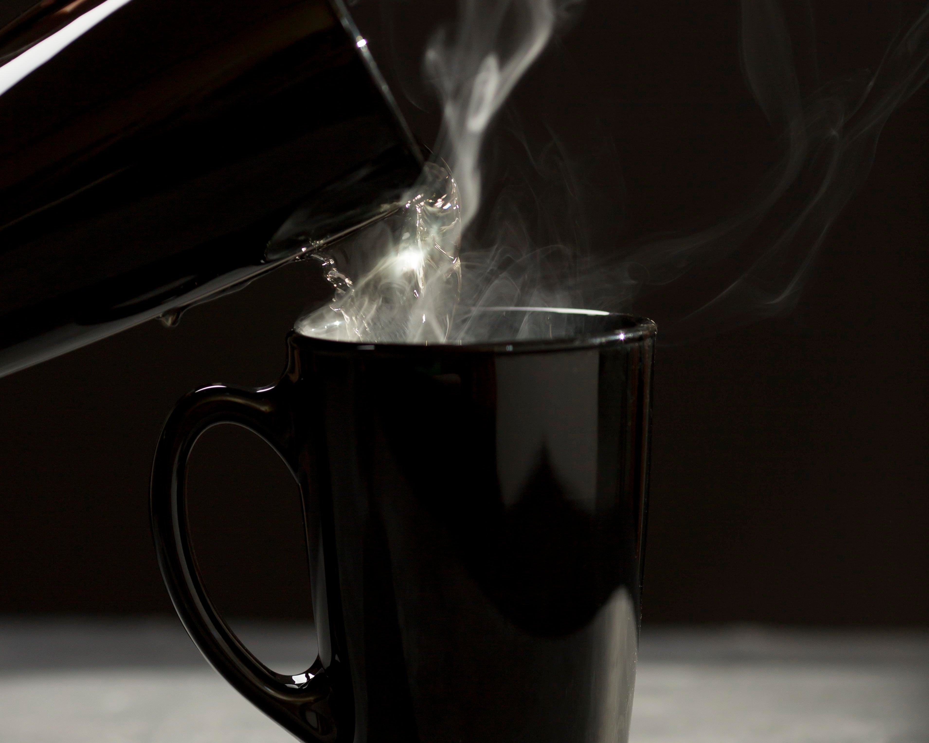 Searching for the Best Mushroom Coffee? Here’s Why Kalba Is a Top Pick