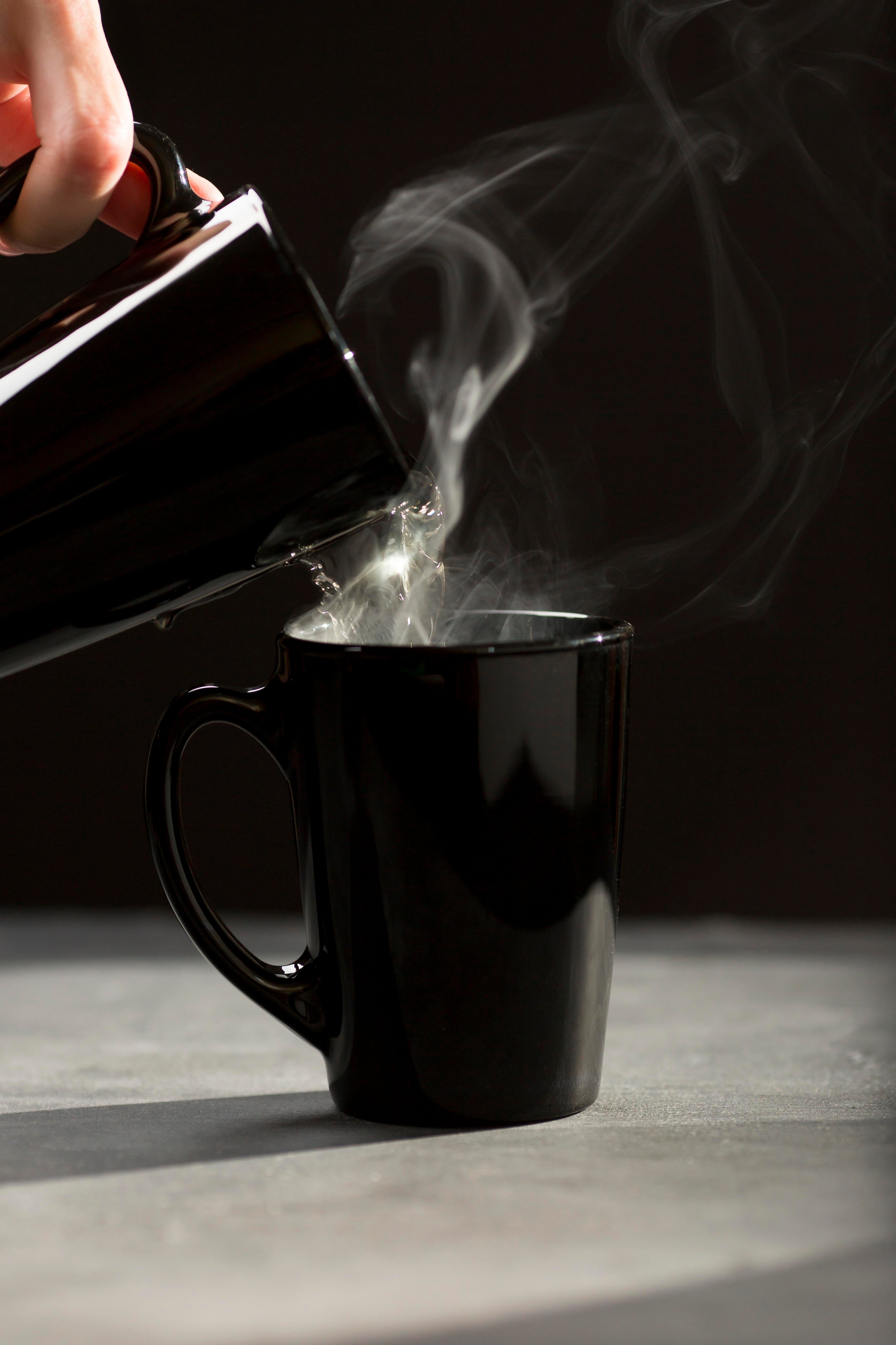 Searching for the Best Mushroom Coffee? Here’s Why Kalba Is a Top Pick