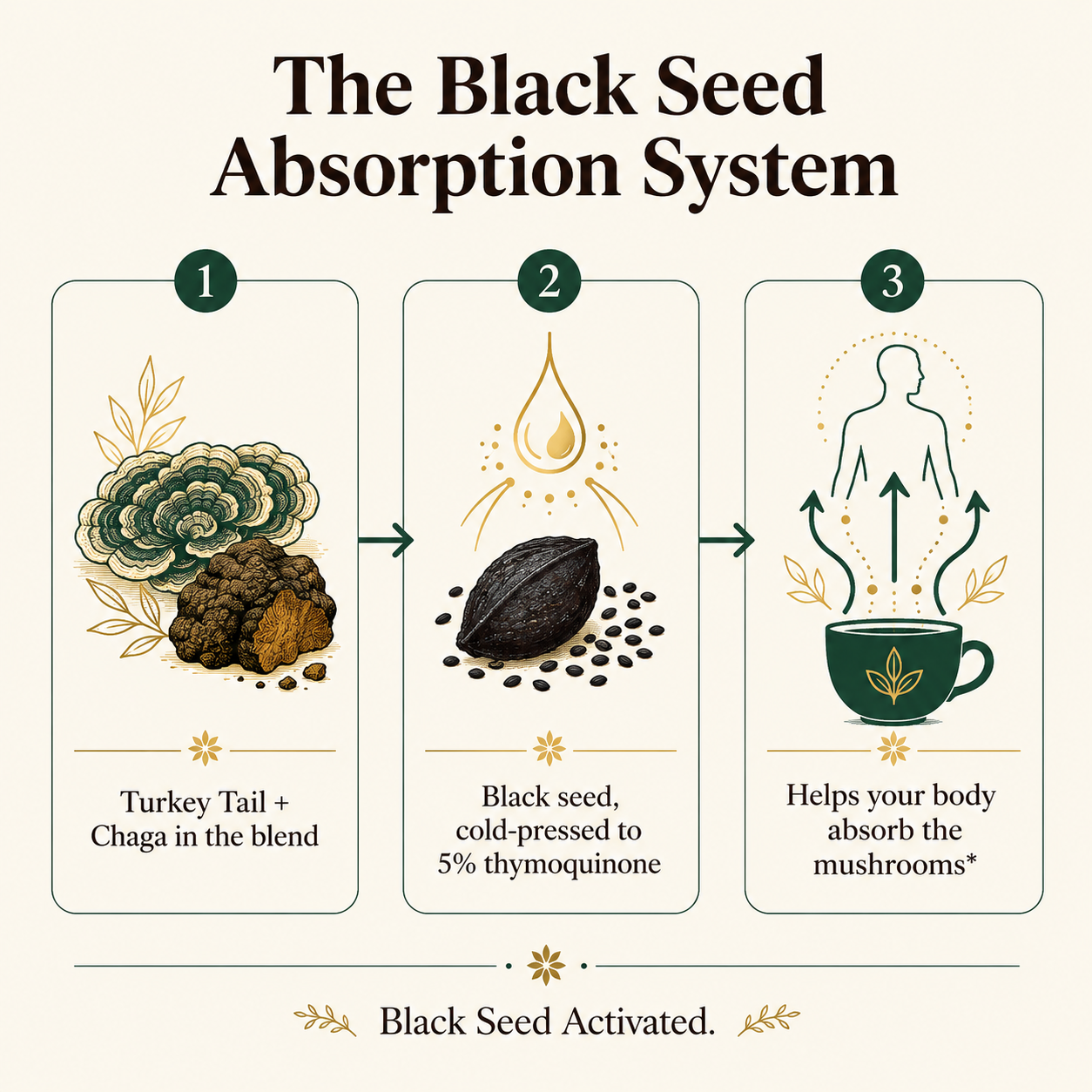 Immunity - Mushroom Infused Ground Coffee