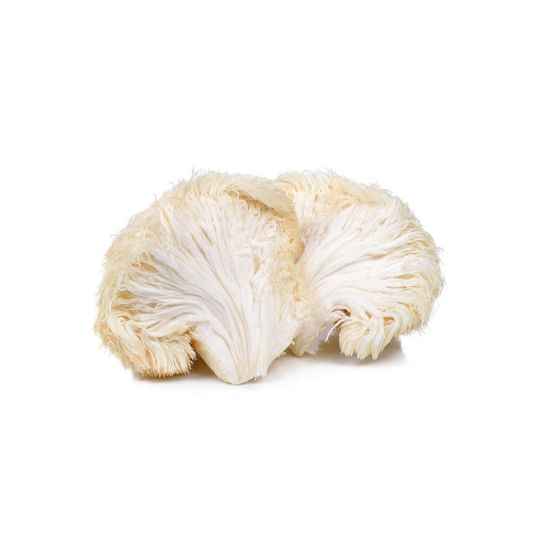 Lion's Mane