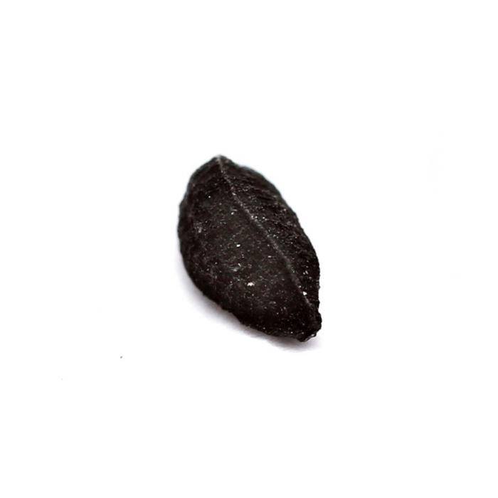 Black seed