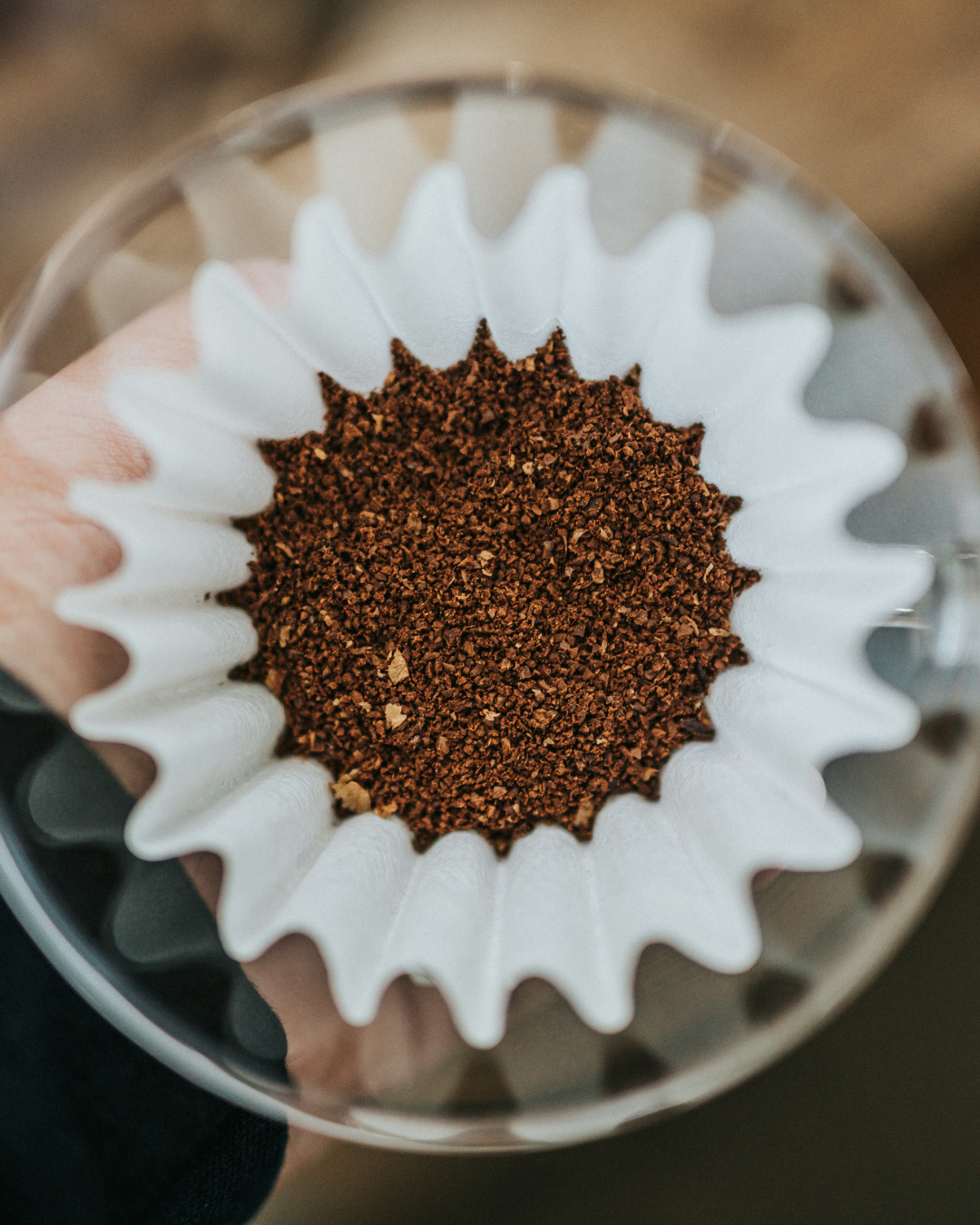 Kalba ground mushroom coffee with beans and functional mushrooms